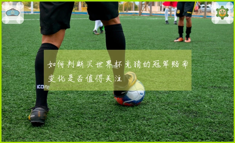 如何判断买世界杯竞猜的冠军赔率变化是否值得关注