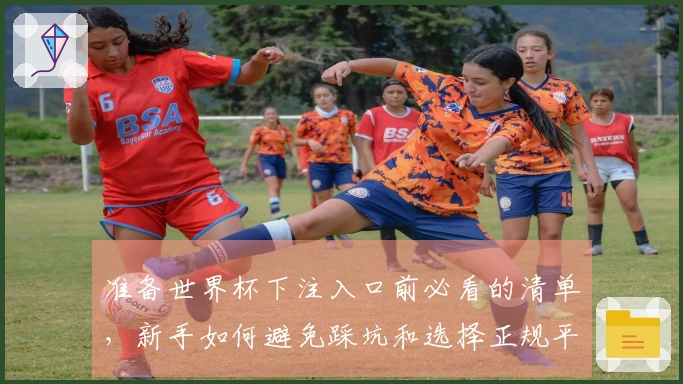 准备世界杯下注入口前必看的清单，新手如何避免踩坑和选择正规平台