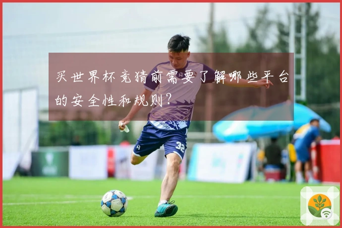 买世界杯竞猜前需要了解哪些平台的安全性和规则？