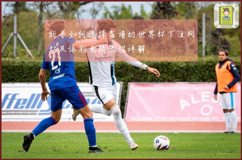 新手如何选择靠谱的世界杯下注网站及体彩竞猜流程详解