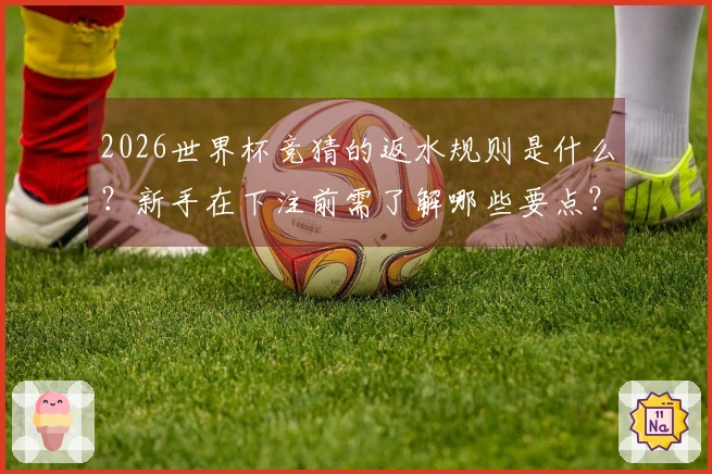 2026世界杯竞猜的返水规则是什么？新手在下注前需了解哪些要点？
