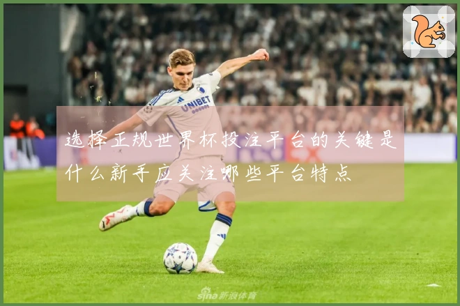 选择正规世界杯投注平台的关键是什么新手应关注哪些平台特点