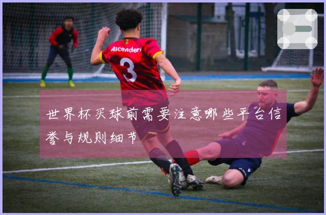 世界杯买球前需要注意哪些平台信誉与规则细节