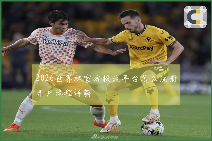 2026世界杯官方投注平台怎么注册开户流程详解