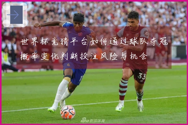 世界杯竞猜平台如何通过球队夺冠概率变化判断投注风险与机会