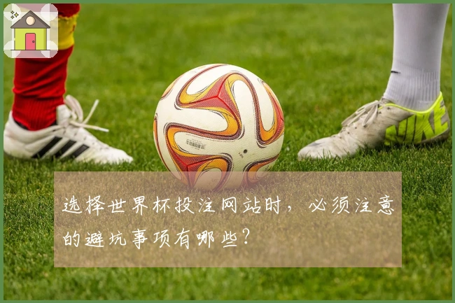 选择世界杯投注网站时，必须注意的避坑事项有哪些？