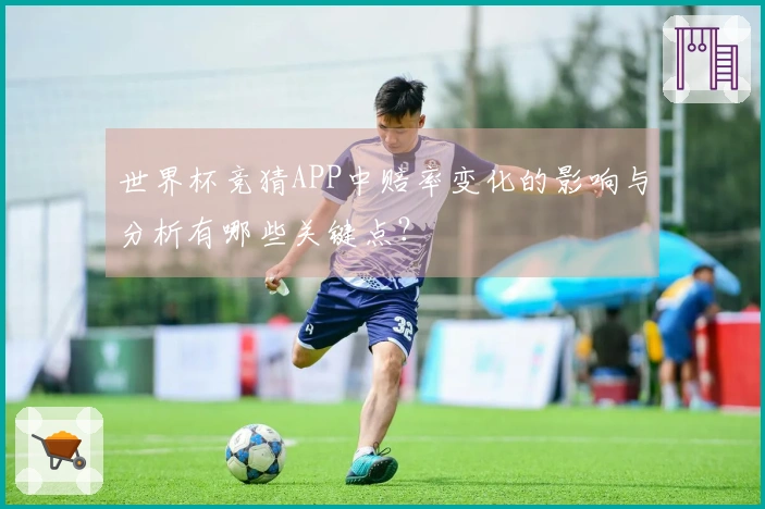世界杯竞猜APP中赔率变化的影响与分析有哪些关键点？