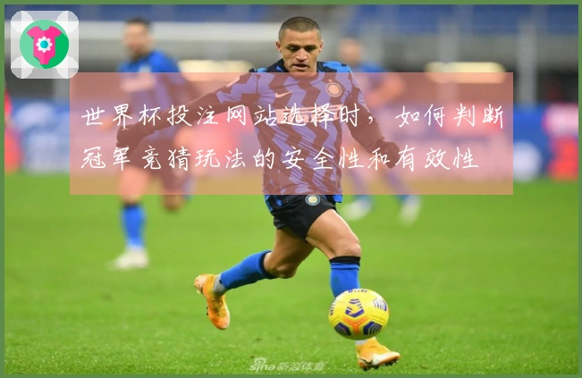 世界杯投注网站选择时，如何判断冠军竞猜玩法的安全性和有效性