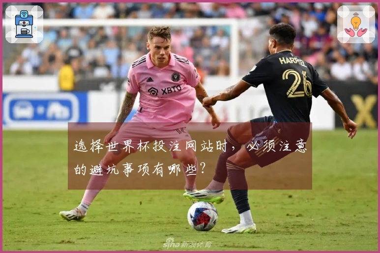 选择世界杯投注网站时，必须注意的避坑事项有哪些？