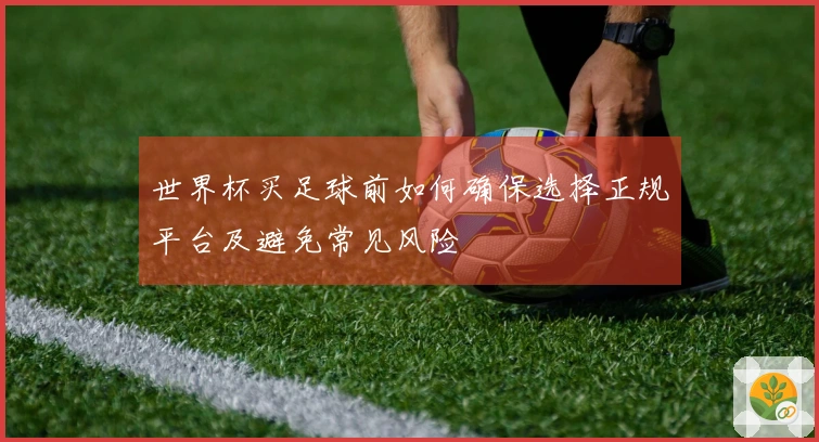 世界杯买足球前如何确保选择正规平台及避免常见风险