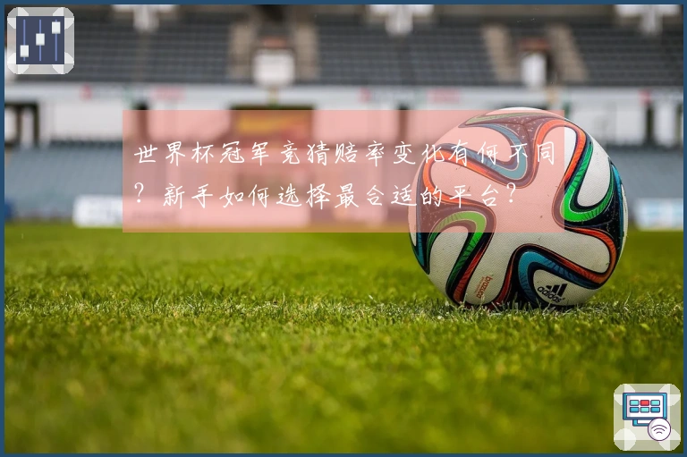 世界杯冠军竞猜赔率变化有何不同？新手如何选择最合适的平台？