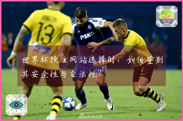 世界杯投注网站选择时，如何鉴别其安全性与合法性？