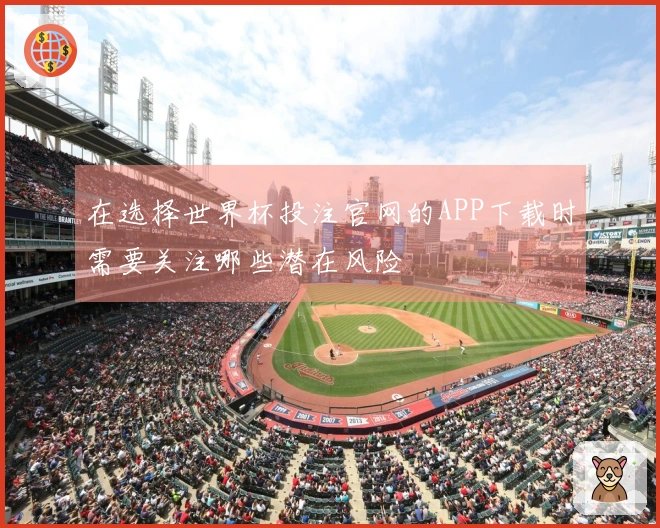 在选择世界杯投注官网的APP下载时需要关注哪些潜在风险