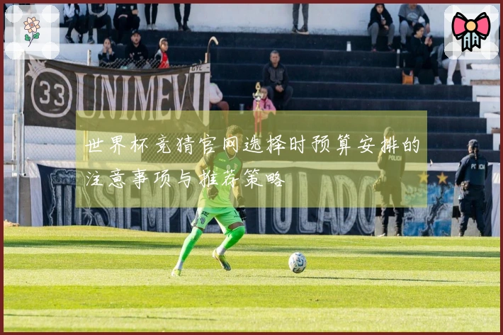 世界杯竞猜官网选择时预算安排的注意事项与推荐策略