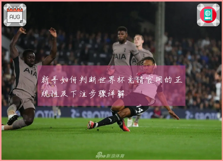 新手如何判断世界杯竞猜官网的正规性及下注步骤详解