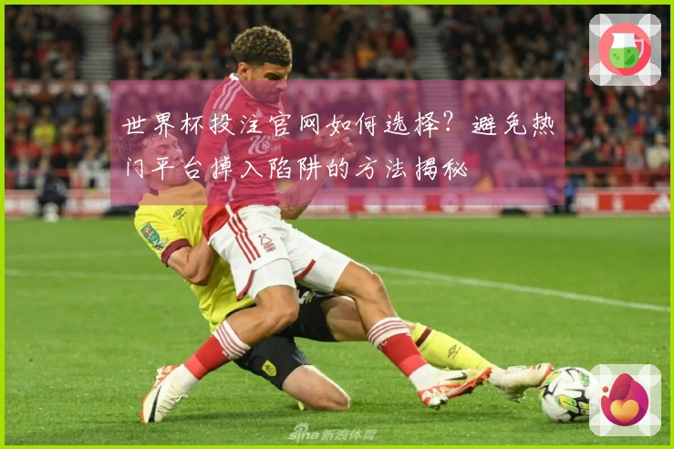 世界杯投注官网如何选择？避免热门平台掉入陷阱的方法揭秘