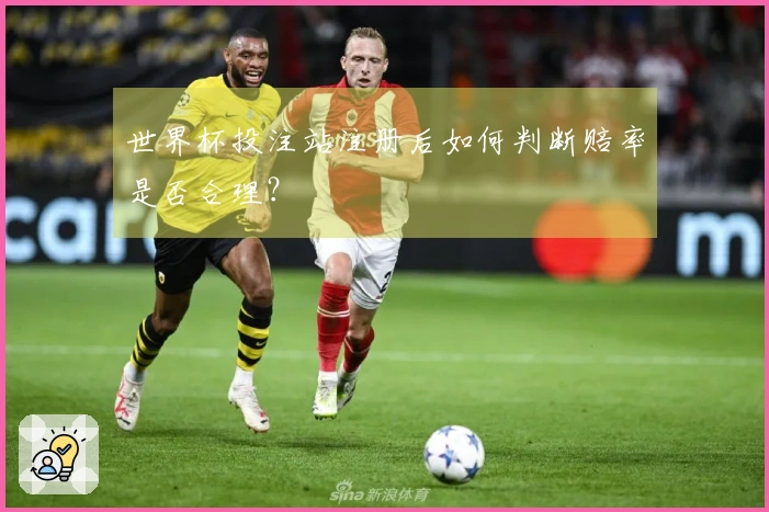 世界杯投注站注册后如何判断赔率是否合理？