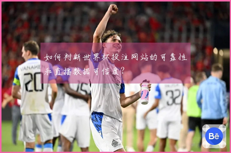 如何判断世界杯投注网站的可靠性和直播数据可信度？