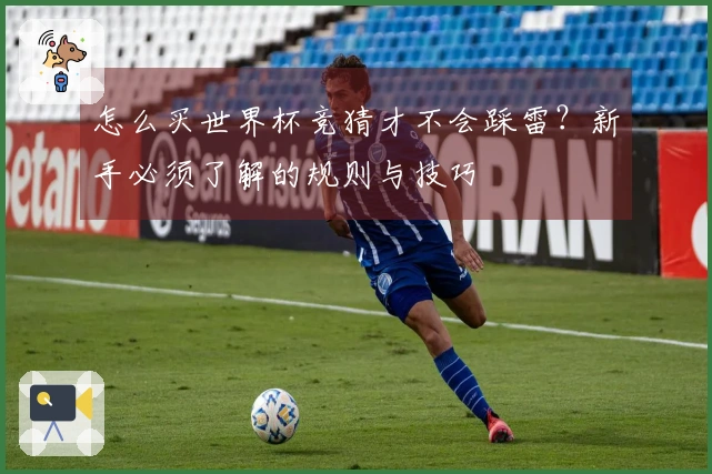 怎么买世界杯竞猜才不会踩雷？新手必须了解的规则与技巧