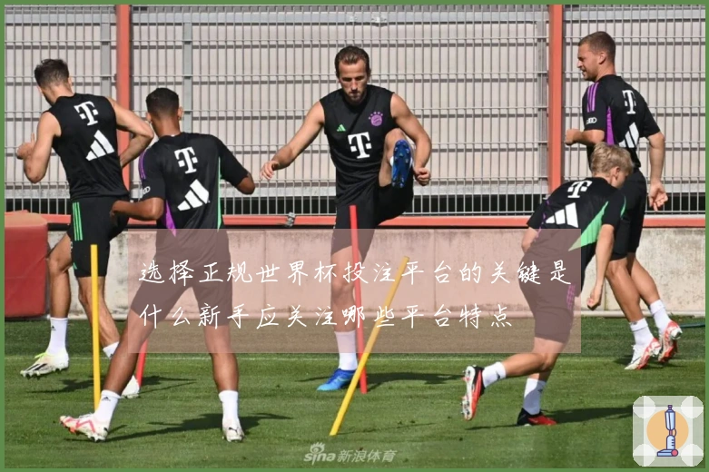 选择正规世界杯投注平台的关键是什么新手应关注哪些平台特点