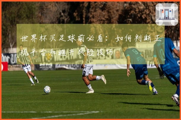 世界杯买足球前必看：如何判断正规平台和避开风险技巧